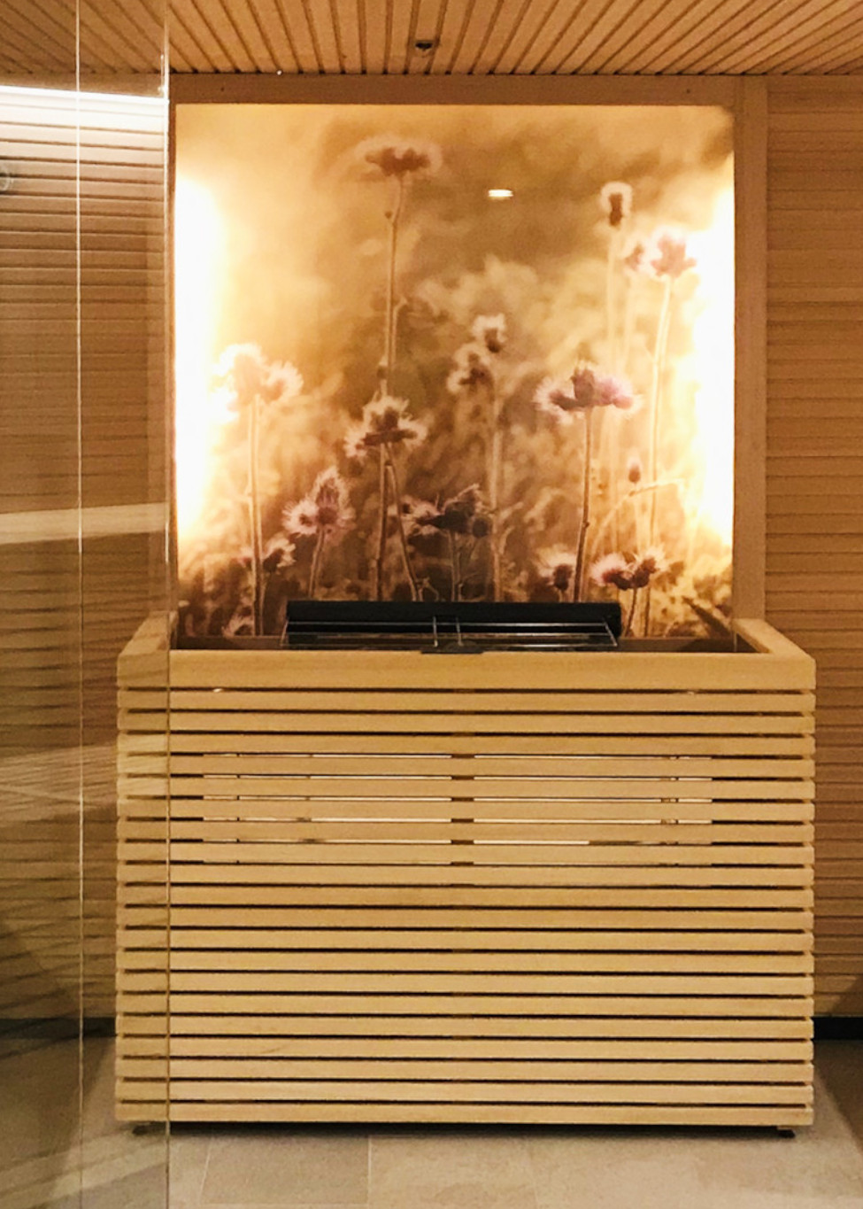 Almwellness Pierer 2