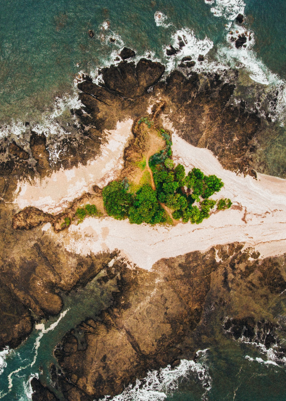 blue zones1